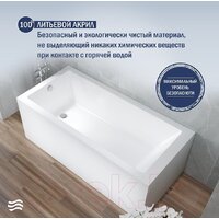 Lauter Athena 170x80 21090080 (с ножками, лицевым и торцевым экранами) Image #4