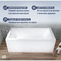 Lauter Athena 170x80 21090080 (с ножками, лицевым и торцевым экранами) Image #3