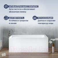 Lauter Athena 170x80 21090080 (с ножками, лицевым и торцевым экранами) Image #5